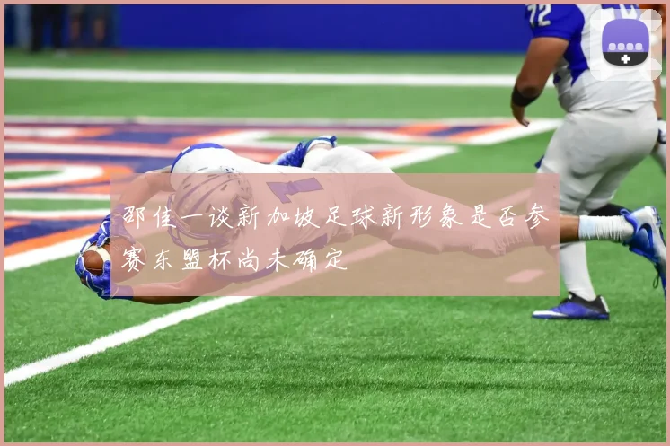 邵佳一谈新加坡足球新形象是否参赛东盟杯尚未确定