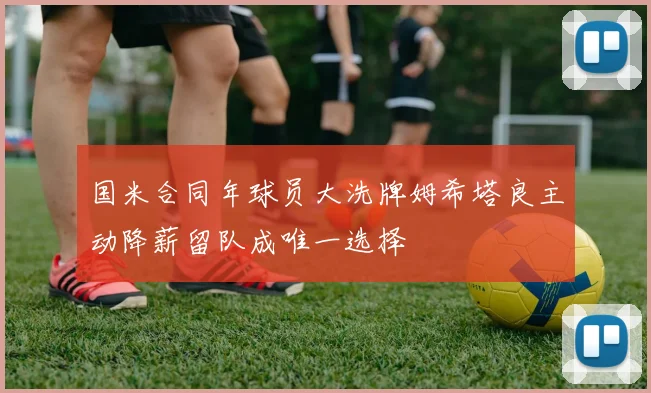 国米合同年球员大洗牌姆希塔良主动降薪留队成唯一选择